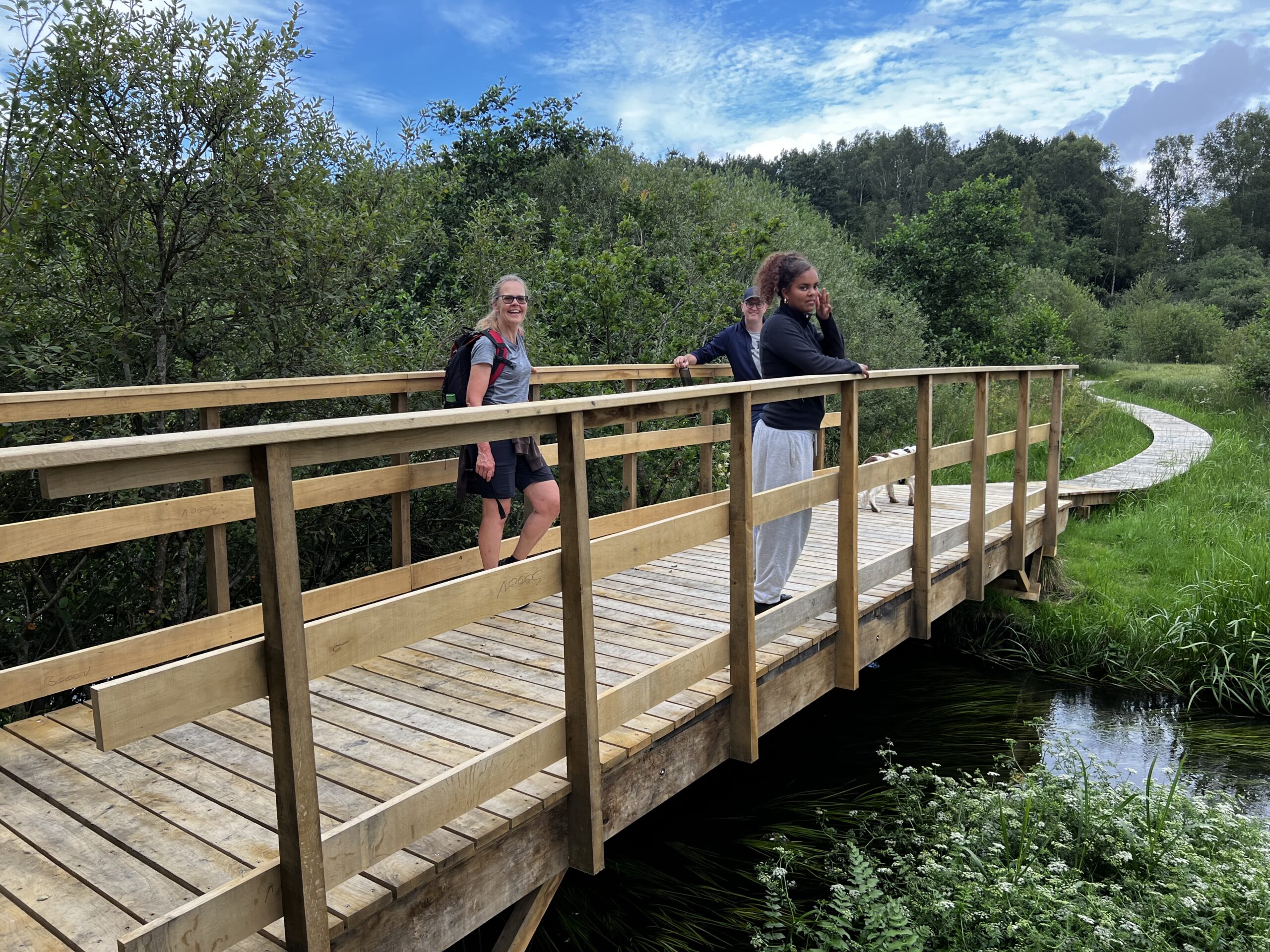 Jomfruhalebroen i Vejle Ådal