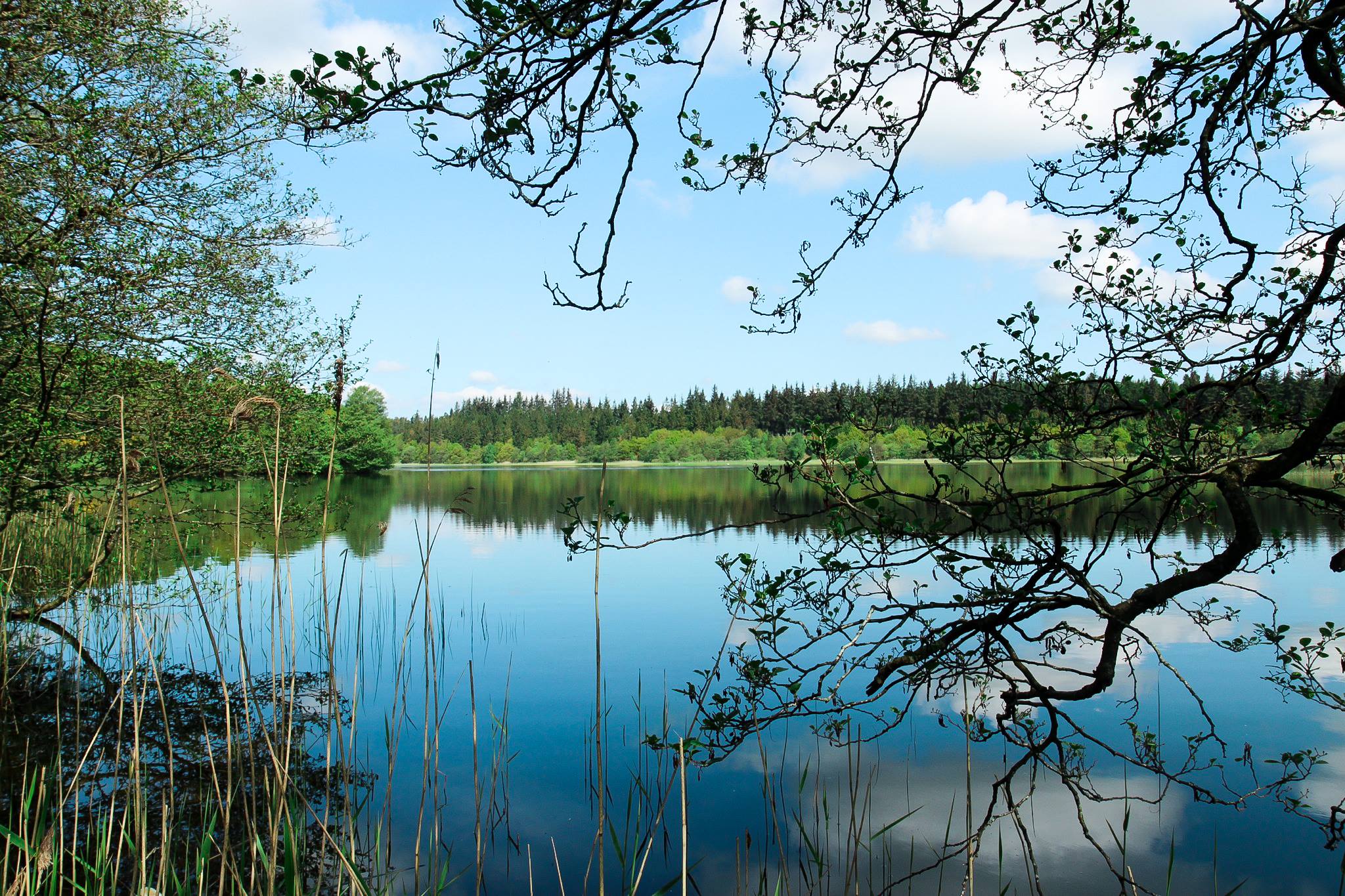 Rørbæk Sø