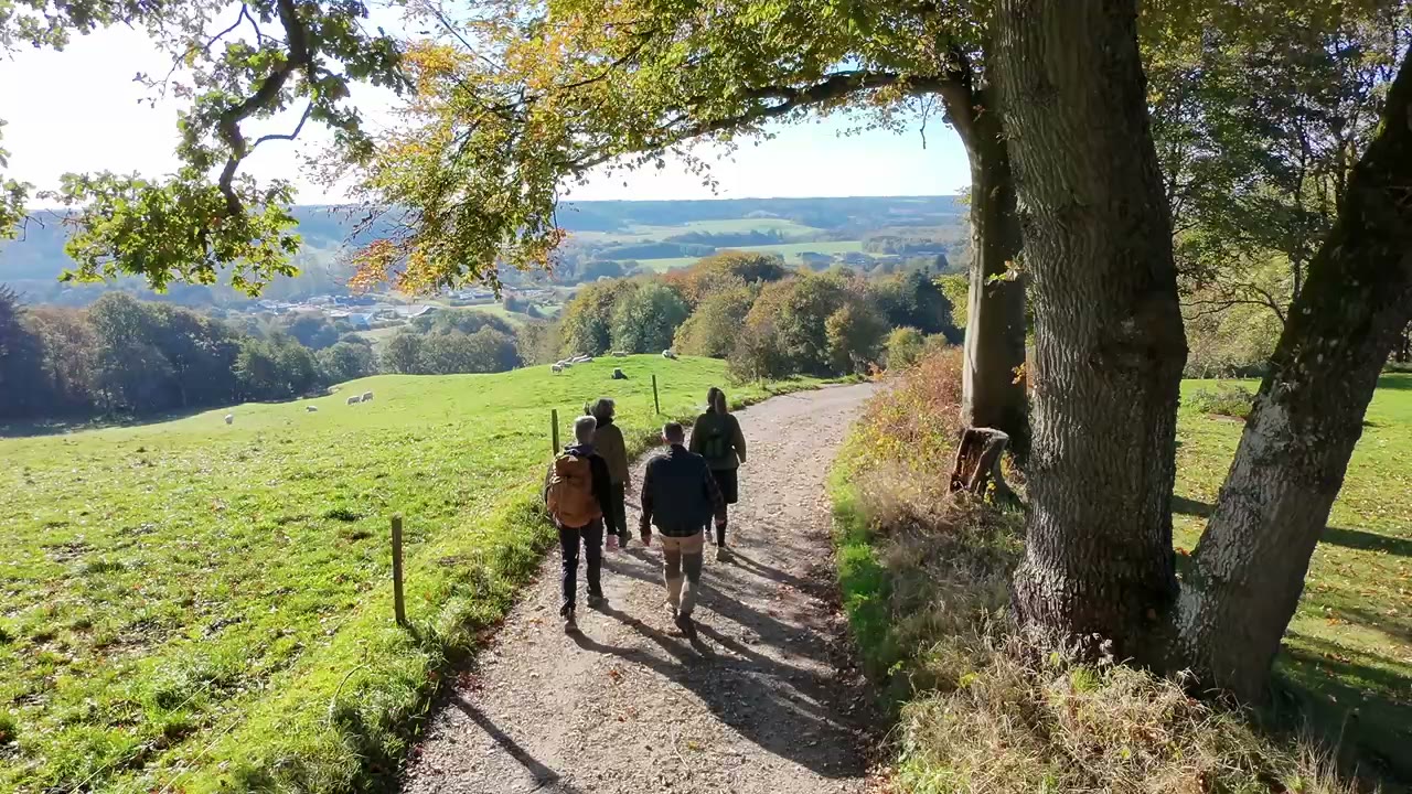 Vandrere på sti i nordisk efterårsnatur