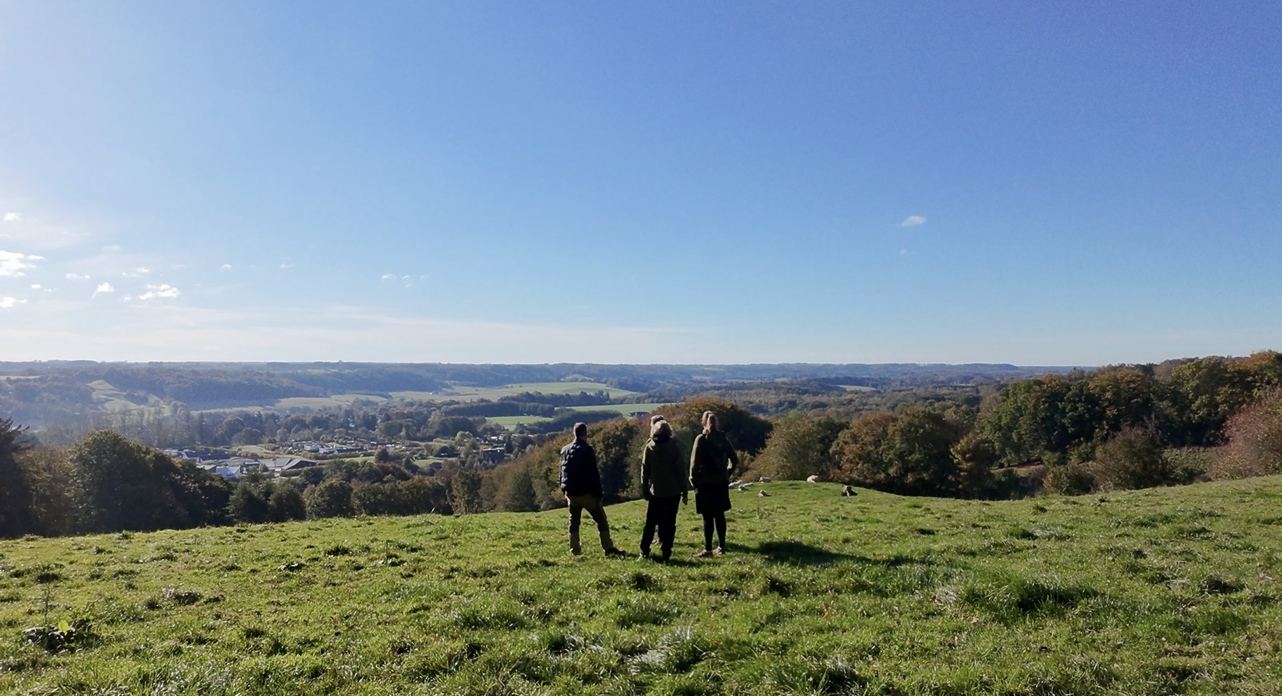 Vejle Ådal — natur langs ruten